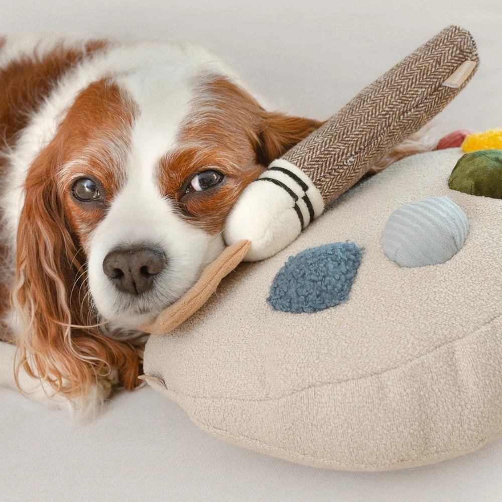 Colour Palette Set Cushion   Toss Dog Toy