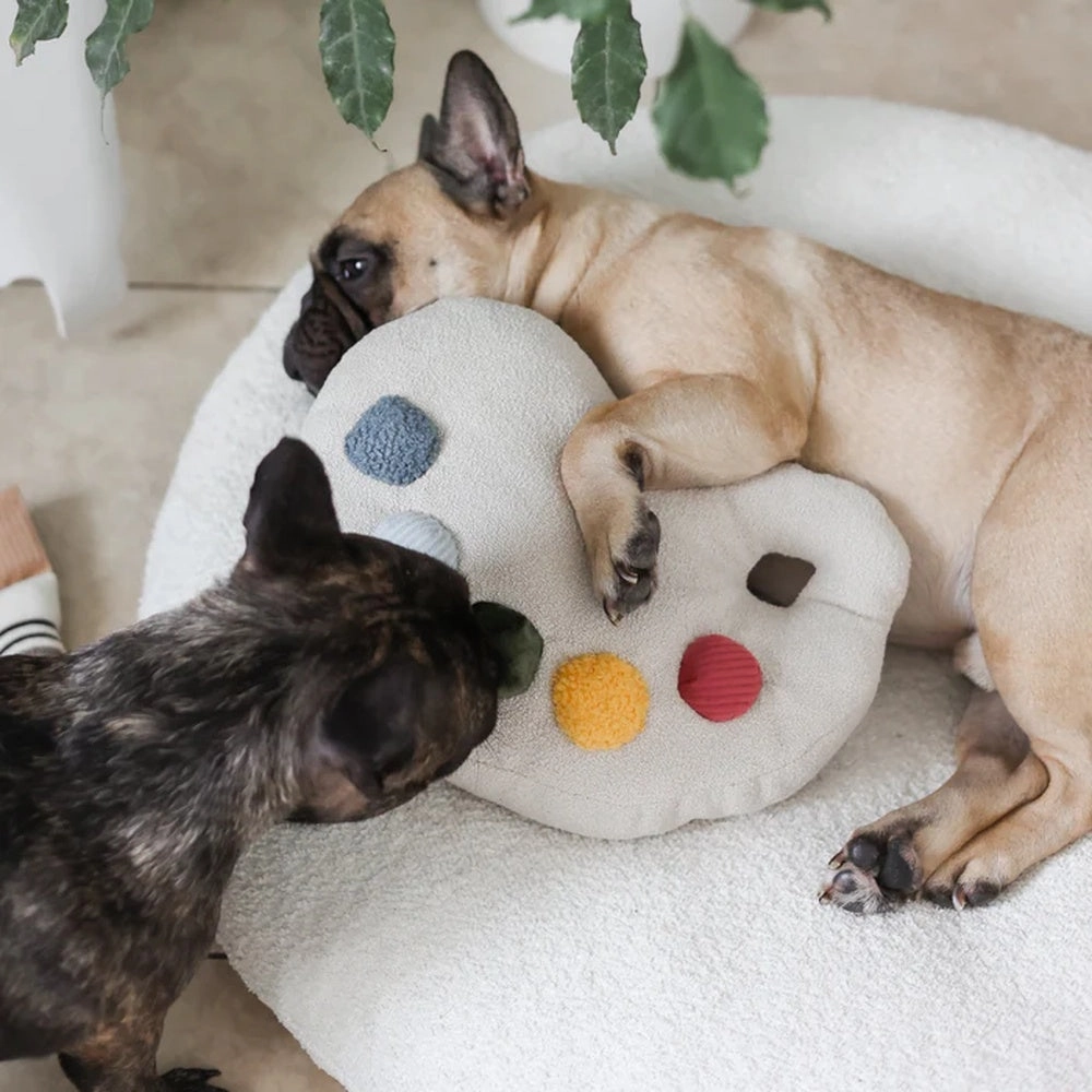 Colour Palette Set Cushion   Toss Dog Toy