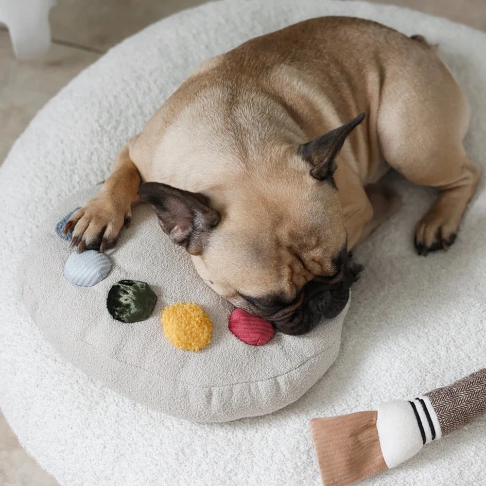 Colour Palette Set Cushion   Toss Dog Toy