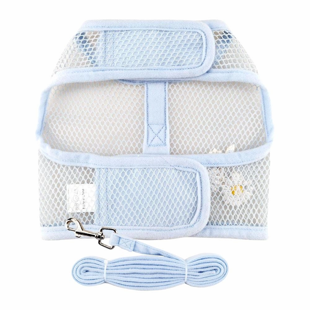 Cool Mesh Dog Harness And Leash Blue Daisy