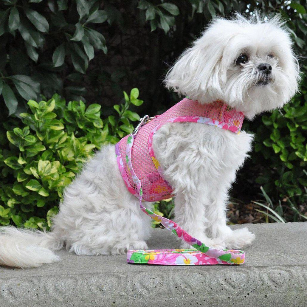 Cool Mesh Dog Harness And Leash Pink Hawaiian Floral