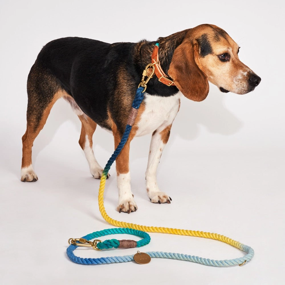 Cotton Rope Dog Collar Azure Ombre