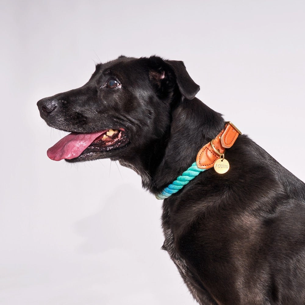 Cotton Rope Dog Collar Azure Ombre