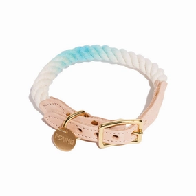 Cotton Rope Dog Collar Robins Egg Blue Ombre