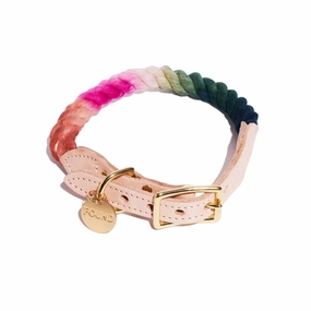 Cotton Rope Dog Collar Spring Bouquet Ombre