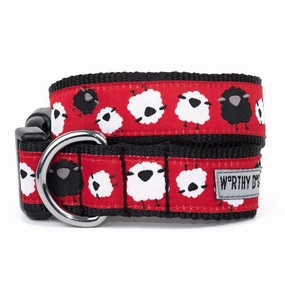 Counting Sheep Dog Collar Small