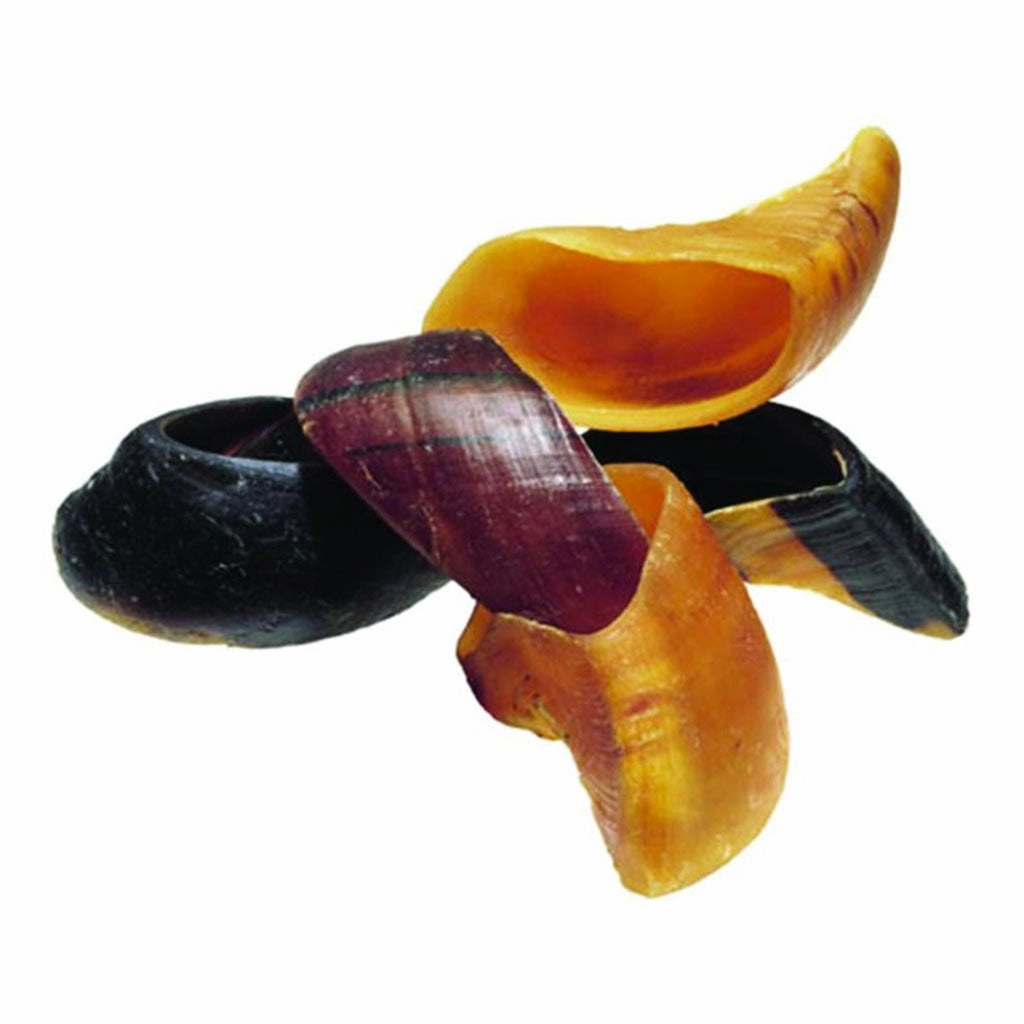Cow Hooves