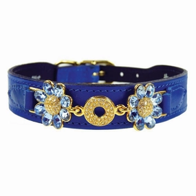 Daisy Collection Dog Collar Cobalt Blue/Gold