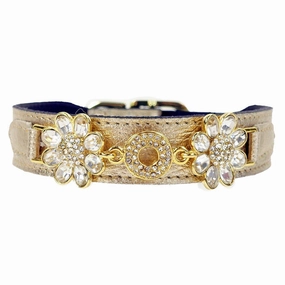 Daisy Collection Dog Collar Metallic Gold