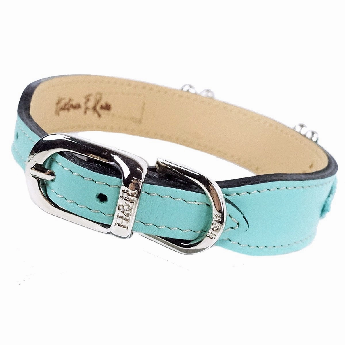 Daisy Collection Dog Collar Turquoise/Nickel