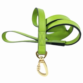 Daisy Collection Dog Leash Lime Green