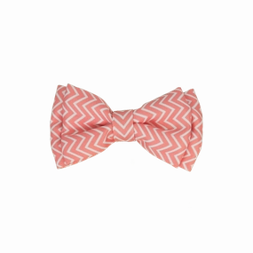 Dan & Sam - Dog Bowtie (Candy Floss)