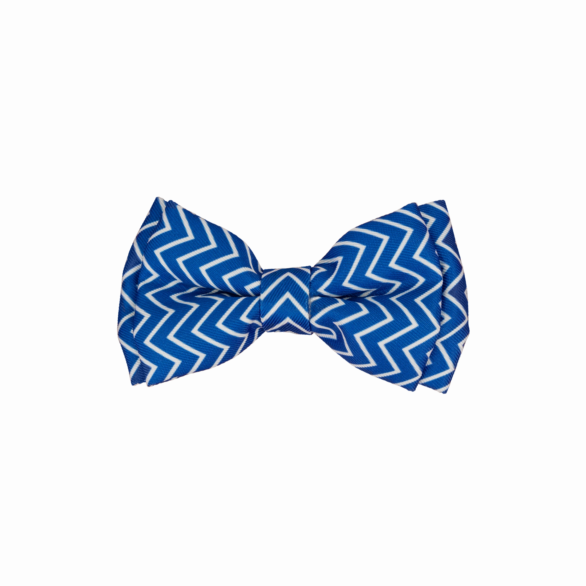 Dan & Sam - Dog Bowtie (Ziggy)