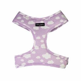 Dan & Sam - Dog Harness (Dreamer) - Medium