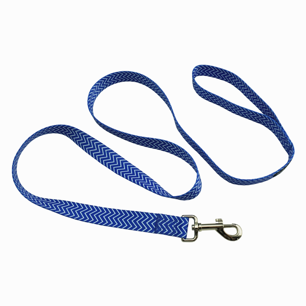 Dan & Sam - Dog Lead (Ziggy)