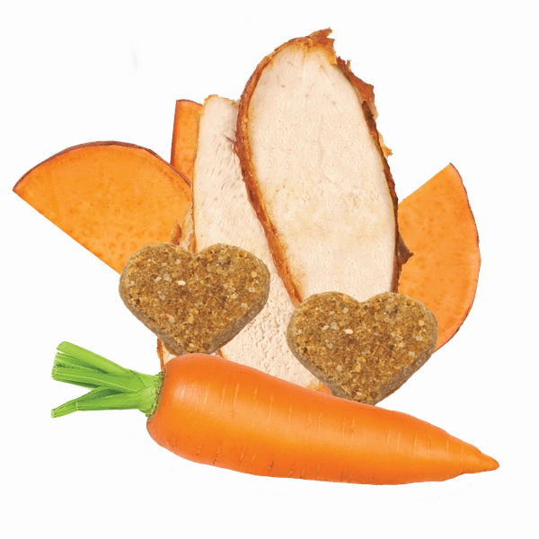 Darford Grain Free Turkey Minis Oven-Baked Dog Treats