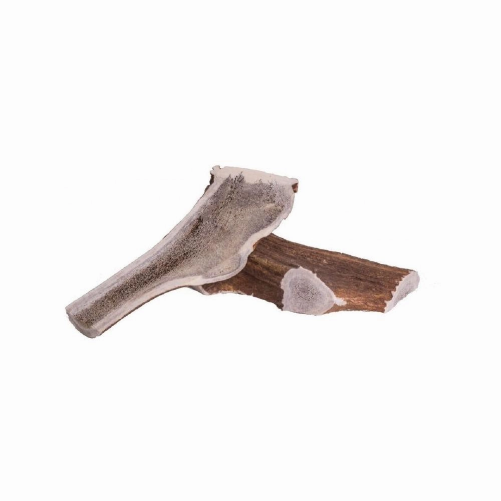 Deer Antler Dog Chew