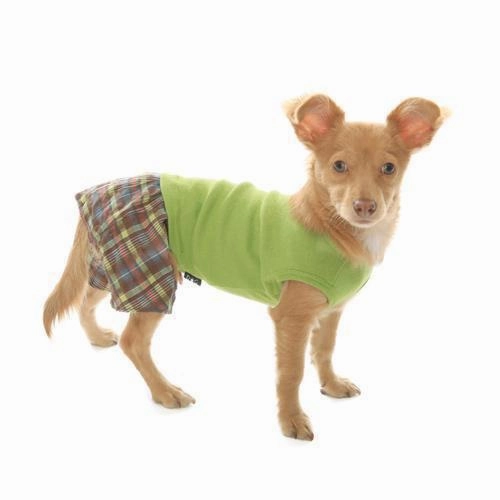 Dog Boxer Shorts Brown And Lime Seersucker