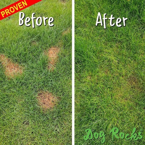 Dog Rocks - Save your Lawn