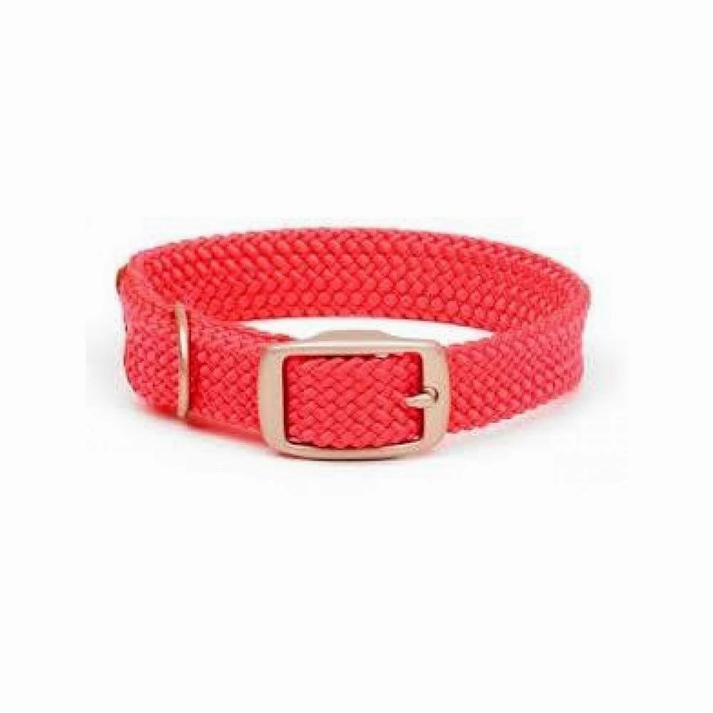 Double Braid Dog Collar