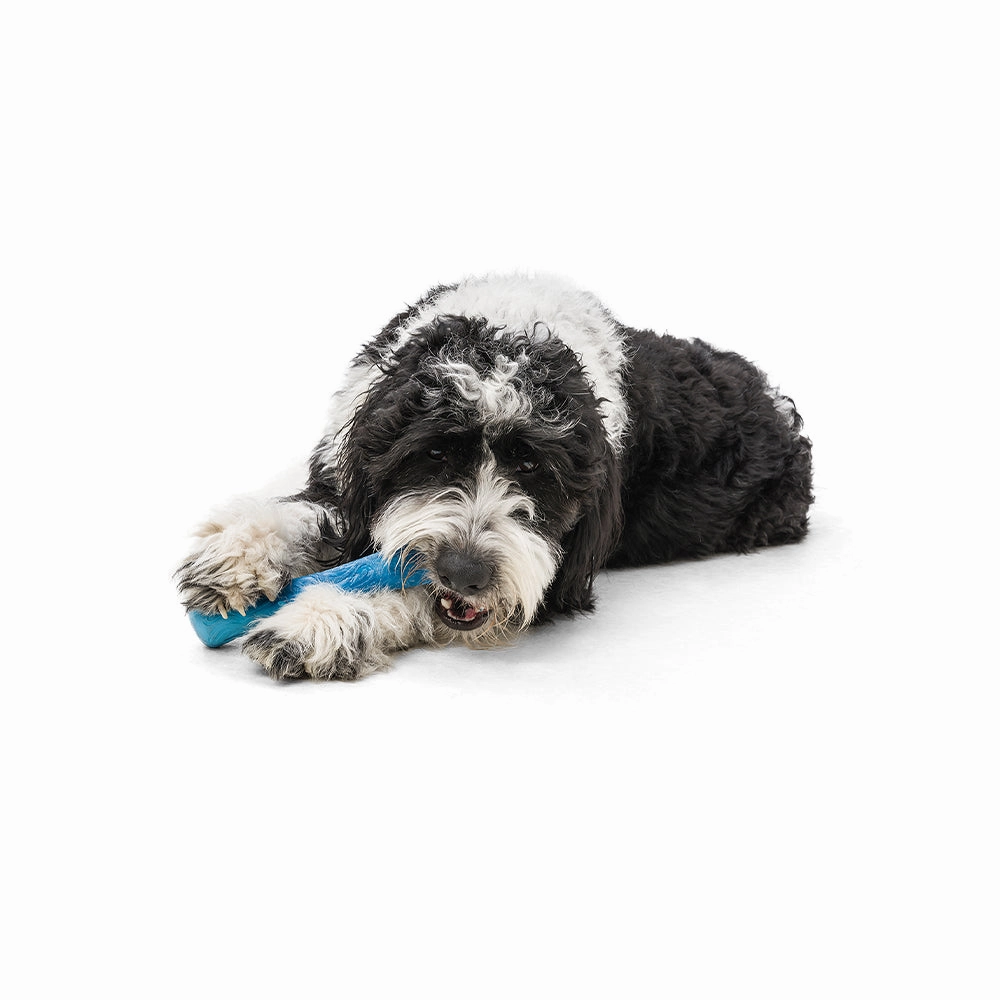 Drifty Seaflex Dog Bone Chew Toy