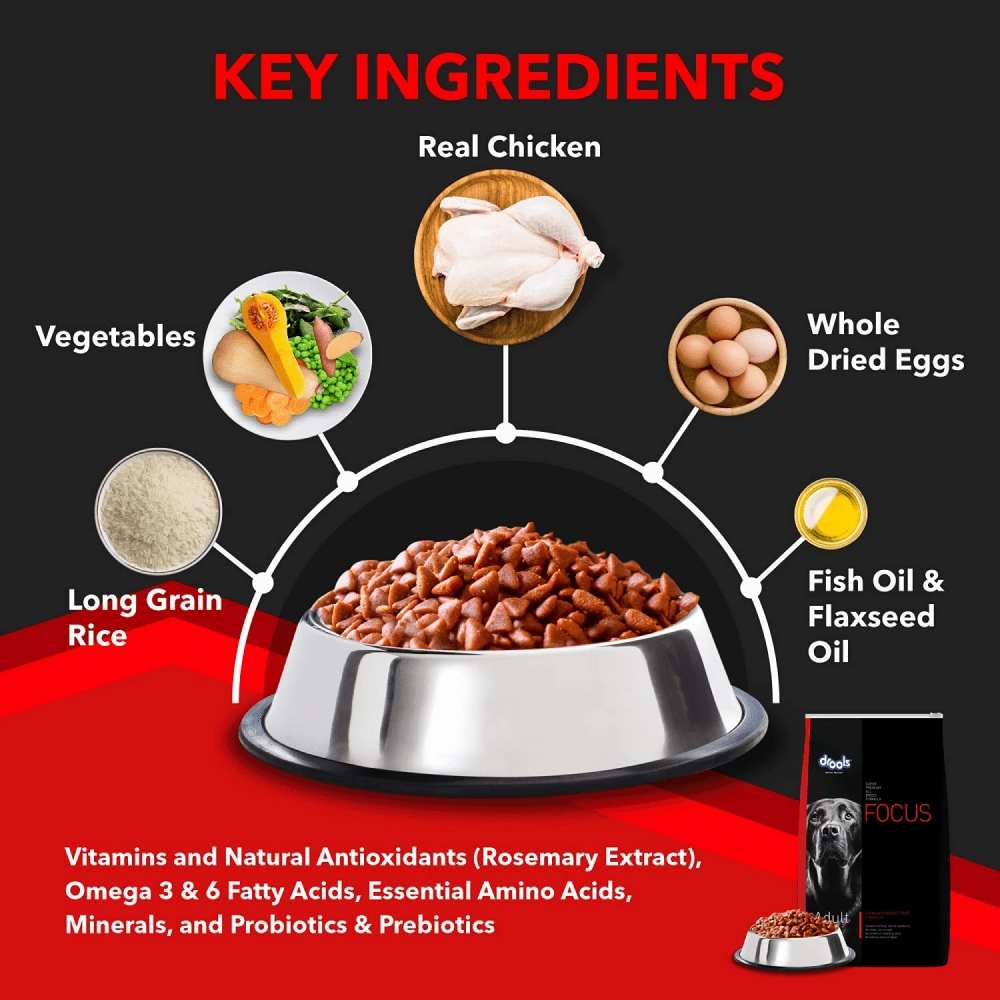 Drools Focus Super Premium Adult Dry Dog Food | Corn & Wheat Free Formula