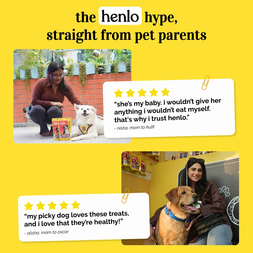 Drools Non-Toxic Rubber Hole Ball Toy & Henlo Chicken Jerky Treats | High-Protein, Guilt-Free Dog Combo