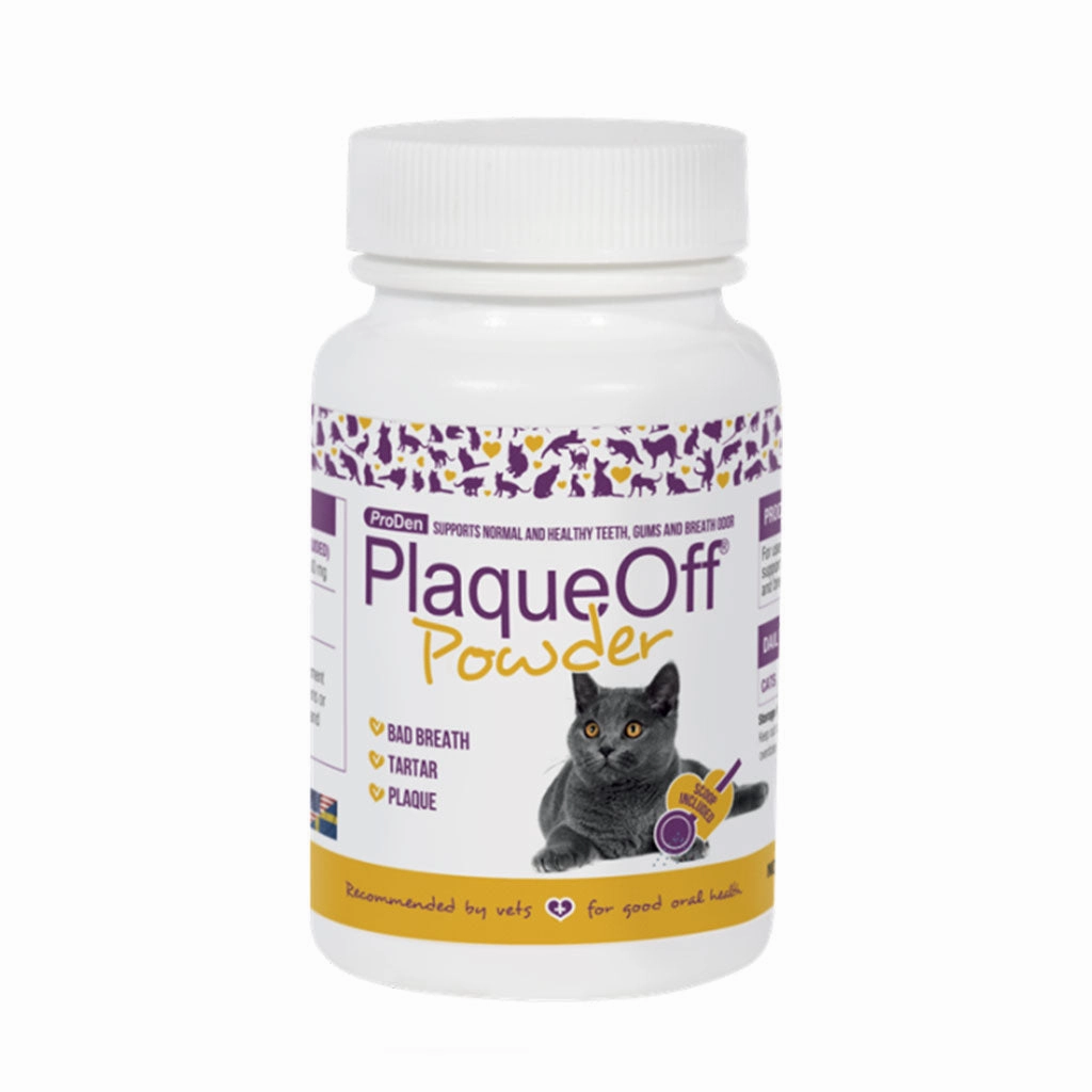 Dry Kelp Powder Cat