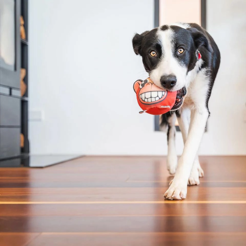 Durables Eric The Elephant Ball Dog Toy