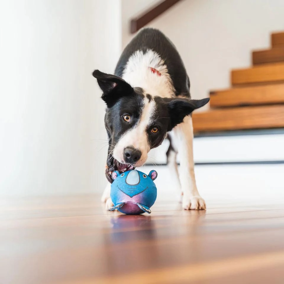 Durables Harry The Hippo Ball Dog Toy