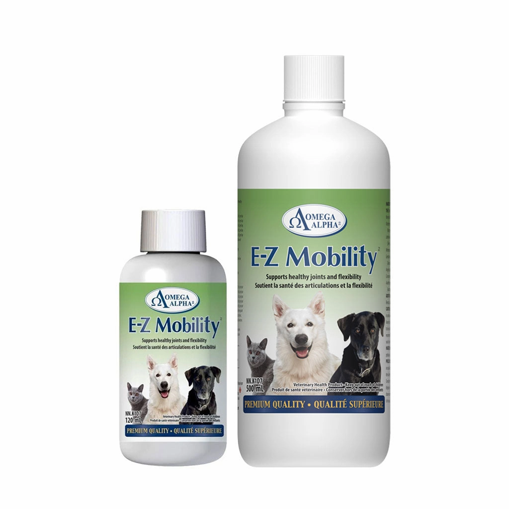 E-Z Mobility