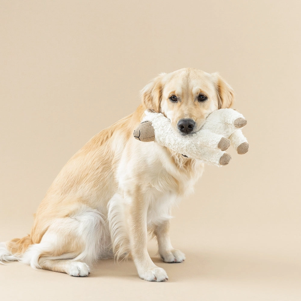Earth Friendly Fleeced To Meet You Dog Plush Toy