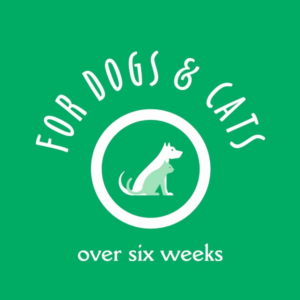 EarthBath Oatmeal & Aloe Shampoo Vanilla & Almond for Dogs and Cats