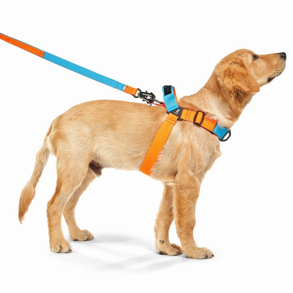 Earthtec Y Strap Dog Harness