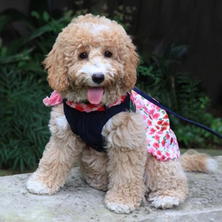 Emma Pink And Red Flower Dog Dress
