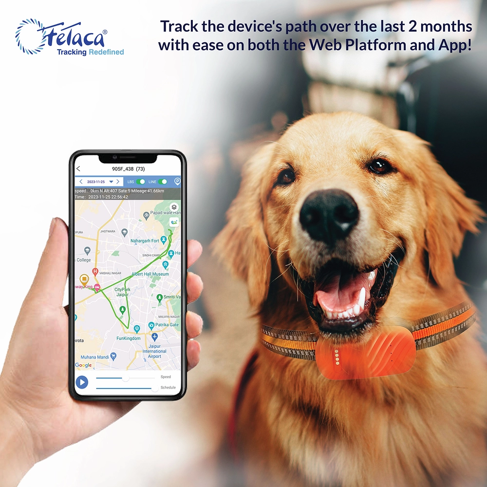FeTaca Smart 4G GPS Tracker with Lifetime Free Tracking & 1 Year Data SIM Subscription for Dogs and Cats (Orange)
