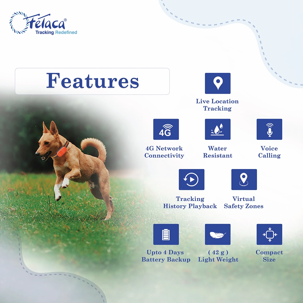 FeTaca Smart 4G GPS Tracker with Lifetime Free Tracking & 1 Year Data SIM Subscription for Dogs and Cats (Orange)