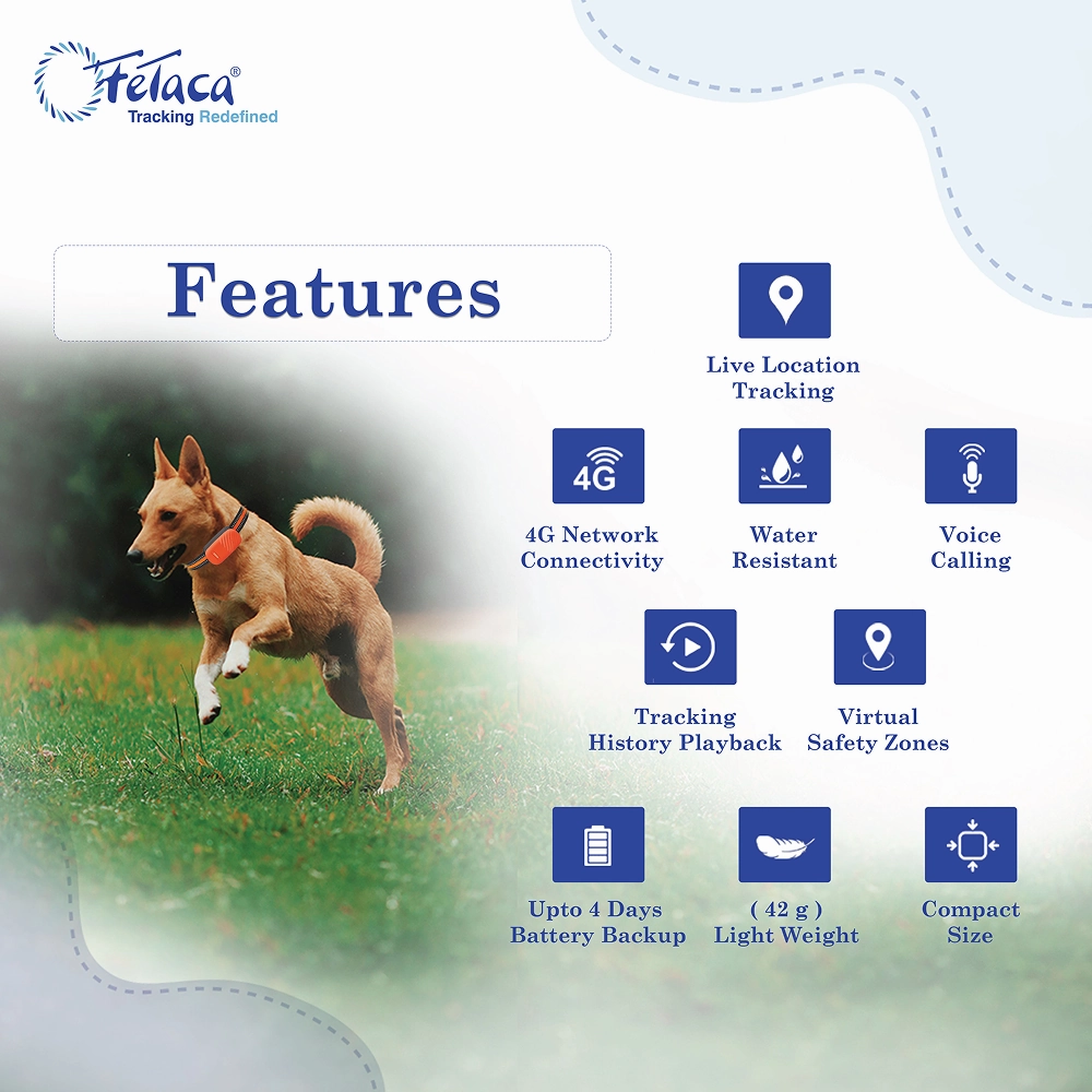 FeTaca Smart 4G GPS Tracker with Lifetime Free Tracking & 1 Year Data SIM Subscription for Dogs and Cats (Orange)