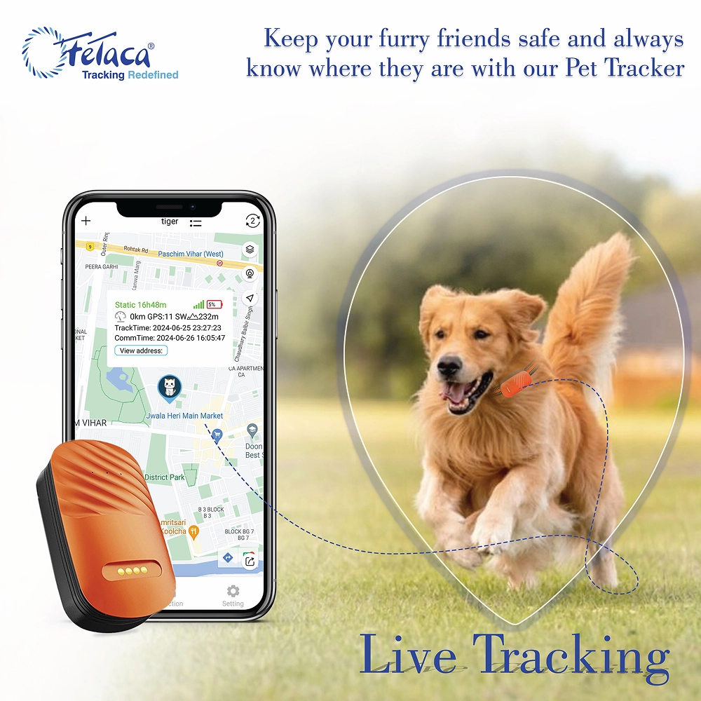 FeTaca Smart 4G GPS Tracker with Lifetime Free Tracking & 1 Year Data SIM Subscription for Dogs and Cats (Orange)