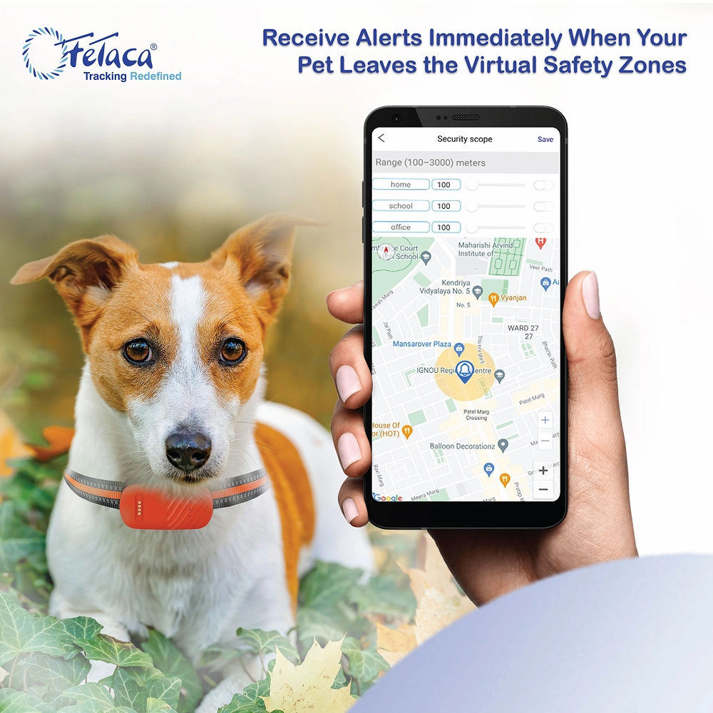 FeTaca Smart 4G GPS Tracker with Lifetime Free Tracking & 1 Year Data SIM Subscription for Dogs and Cats (Orange)