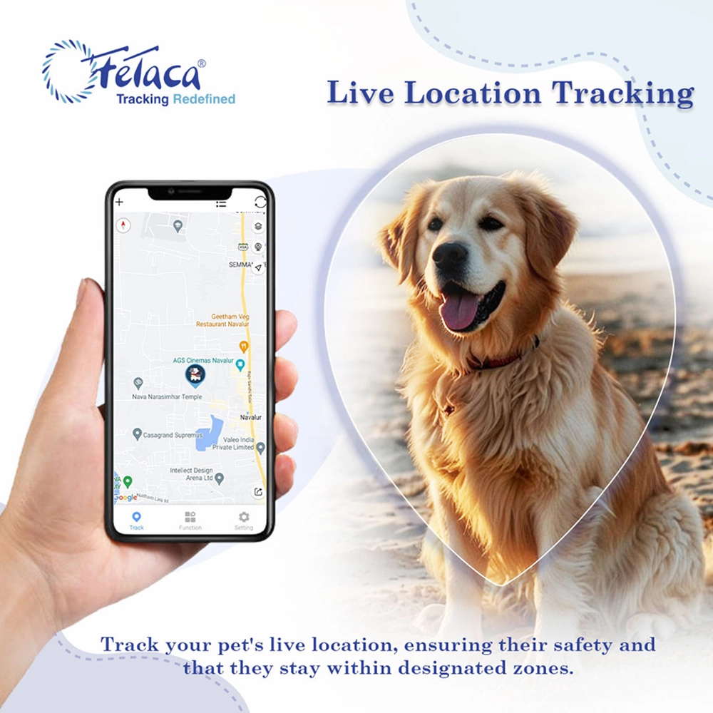 FeTaca Smart 4G Waterproof GPS Tracker & Activity with Lifetime Free Tracking & 1 Year Data SIM Subscription for Dogs & Cats (Black)