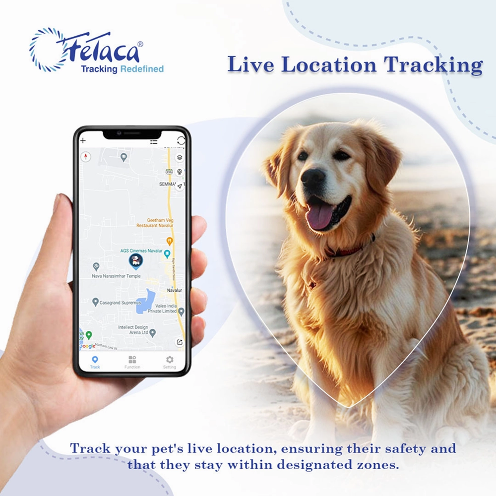 FeTaca Smart 4G Waterproof GPS Tracker & Activity with Lifetime Free Tracking & 1 Year Data SIM Subscription for Dogs & Cats (Black)