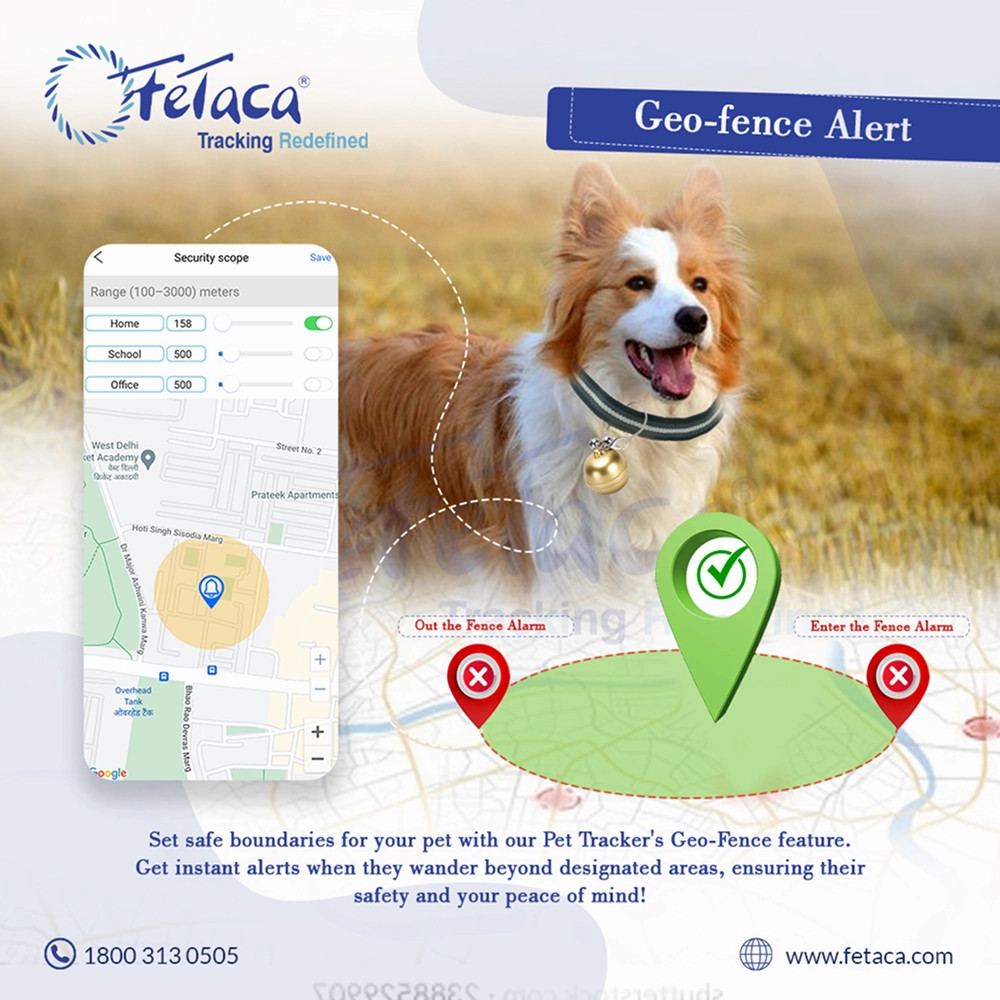 FeTaca Smart Gold Bell Shaped 2G Pet GPS Tracker with 1 Year Advanced Tracking & SIM Data Subscription for Dogs & Cats (Golden)