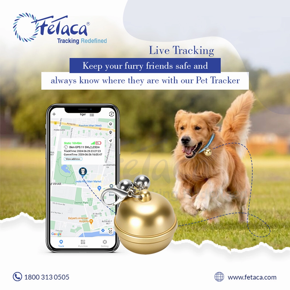 FeTaca Smart Gold Bell Shaped 2G Pet GPS Tracker with 1 Year Advanced Tracking & SIM Data Subscription for Dogs & Cats (Golden)