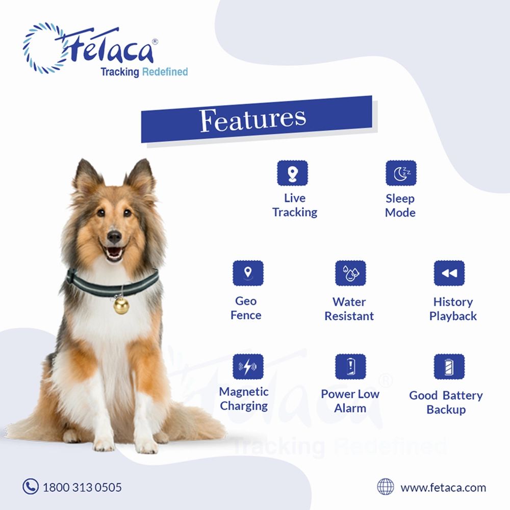FeTaca Smart Gold Bell Shaped 2G Pet GPS Tracker with 1 Year Advanced Tracking & SIM Data Subscription for Dogs & Cats (Golden)