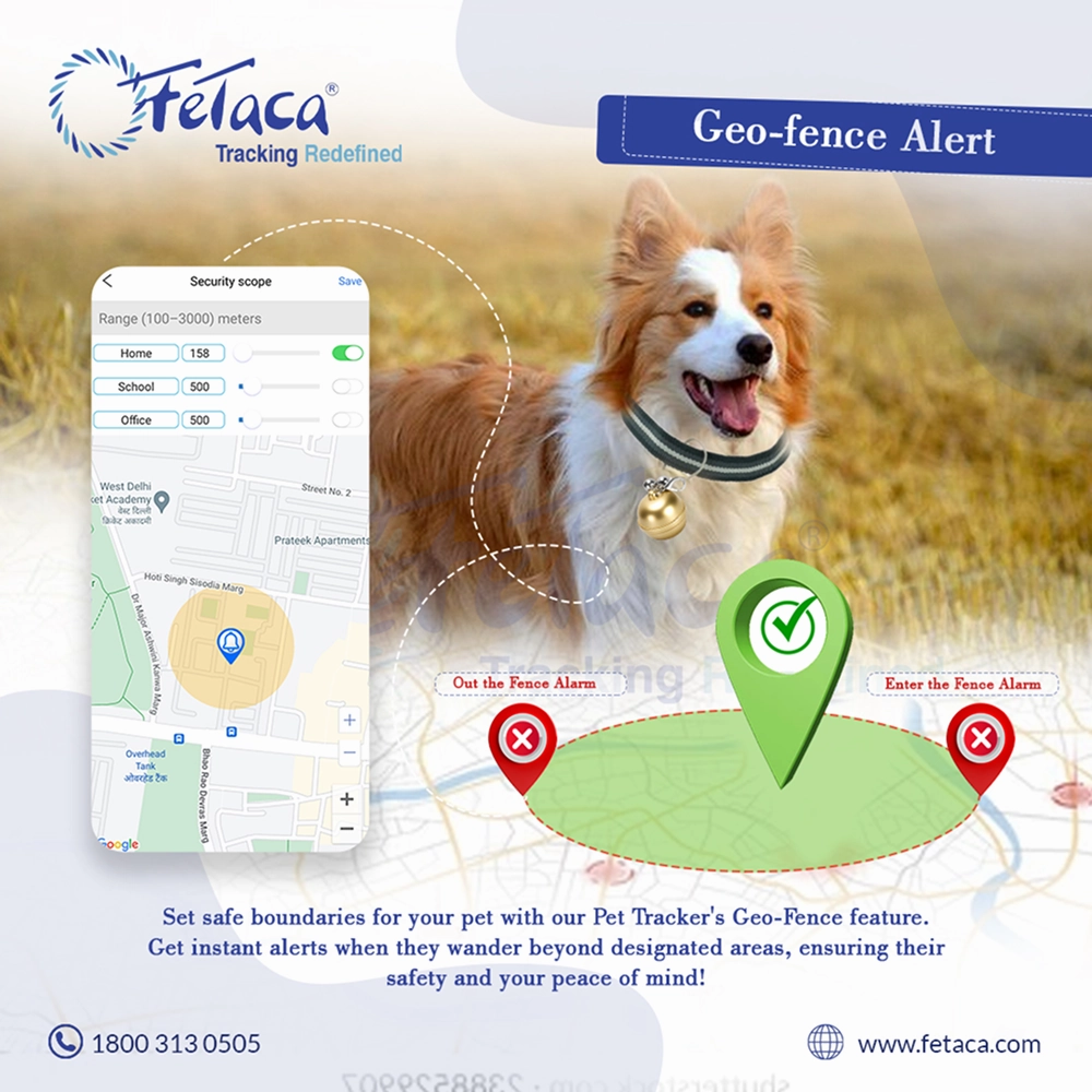 FeTaca Smart Gold Bell Shaped 2G Pet GPS Tracker with Live Location, Mobile Alerts & Activity Tracking (Golden)  | Subscription Required