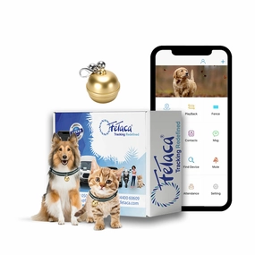 FeTaca Smart Gold Bell Shaped 2G Pet GPS Tracker with Live Location, Mobile Alerts & Activity Tracking (Golden)  | Subscription Required