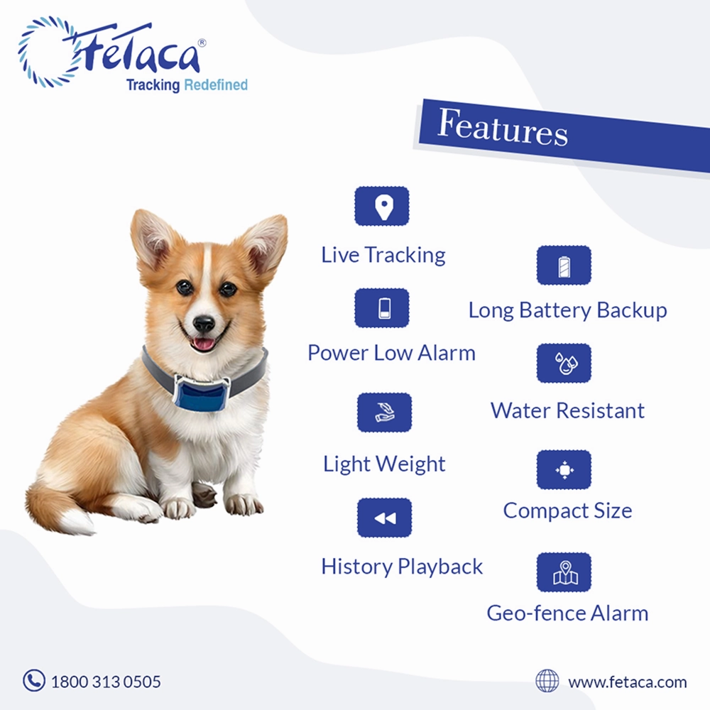 FeTaca Smart GPS Collars with 1 Year Advanced Tracking & SIM Data Subscription for Dogs & Cats (Blue)
