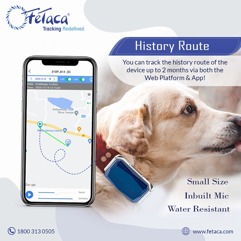 FeTaca Smart GPS Tracking Collars with Live Location, Mobile Alerts and Activity Tracking for Dog & Cats (Blue)  | Subscription Required
