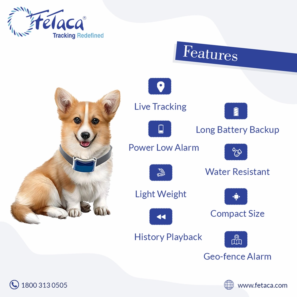 FeTaca Smart GPS Tracking Collars with Live Location, Mobile Alerts and Activity Tracking for Dog & Cats (Blue)  | Subscription Required